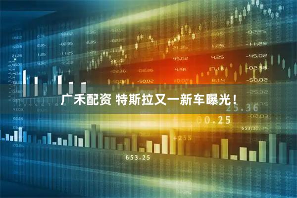 广禾配资 特斯拉又一新车曝光！