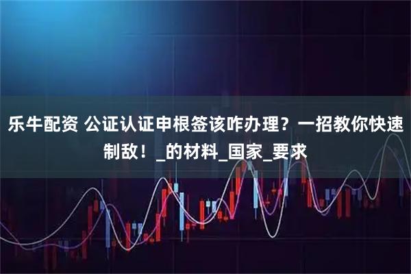 乐牛配资 公证认证申根签该咋办理？一招教你快速制敌！_的材料_国家_要求