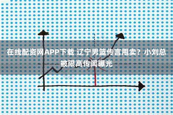 在线配资网APP下载 辽宁男篮传言甩卖？小刘总被限高传闻曝光
