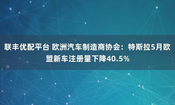 联丰优配平台 欧洲汽车制造商协会：特斯拉5月欧盟新车注册量下降40.5%
