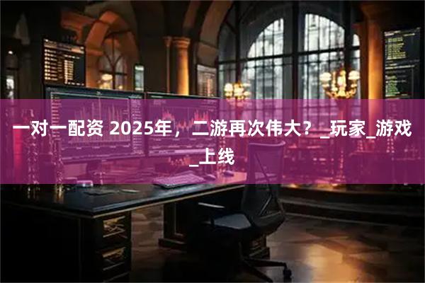 一对一配资 2025年，二游再次伟大？_玩家_游戏_上线