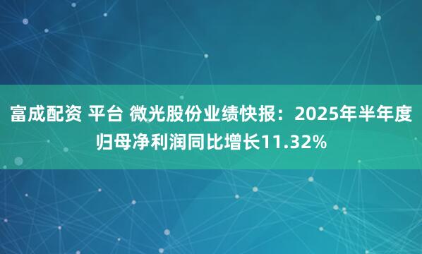 富成配资 平台 微光股份业绩快报：2025年半年度归母净利润同比增长11.32%