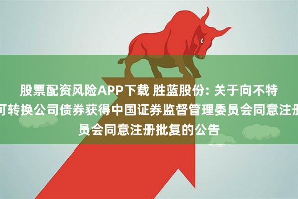 股票配资风险APP下载 胜蓝股份: 关于向不特定对象发行可转换公司债券获得中国证券监督管理委员会同意注册批复的公告